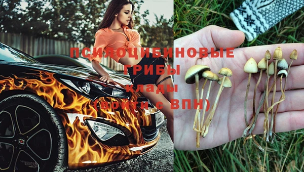 дурь Алексеевка
