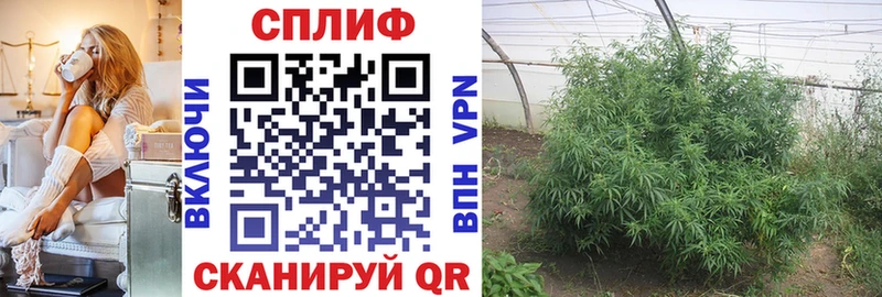 Бошки марихуана Bruce Banner Анива